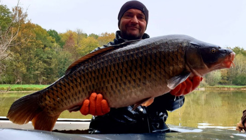 A carp from Renarde, Dec 2020