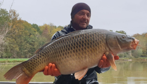 A carp from Renarde, Dec 2020