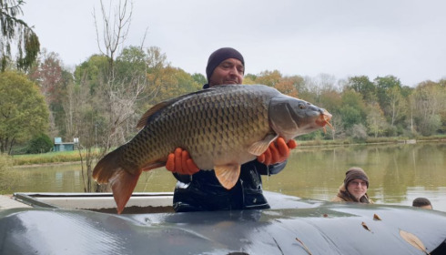 A carp from Renarde, Dec 2020