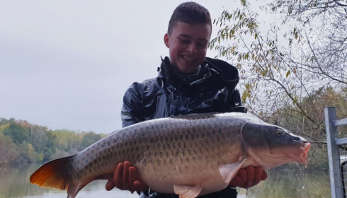 A carp from Renarde, Dec 2020