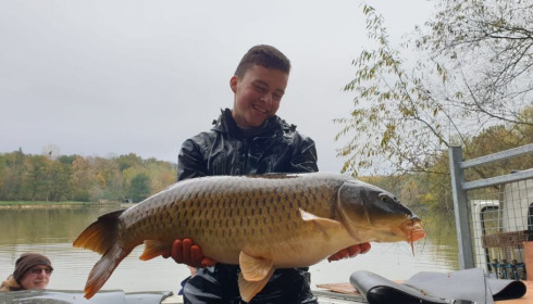 A carp from Renarde, Dec 2020