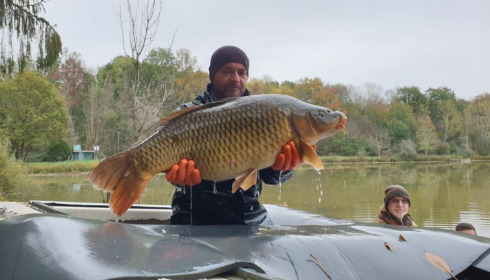 A carp from Renarde, Dec 2020