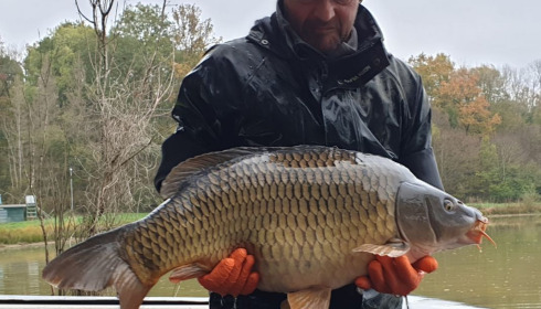 A carp from Renarde, Dec 2020
