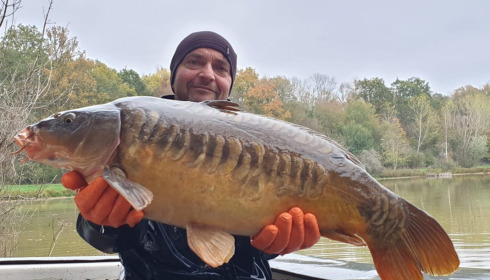 A carp from Renarde, Dec 2020