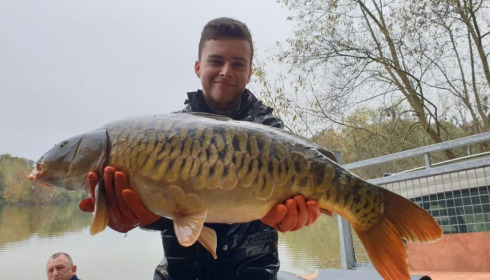A carp from Renarde, Dec 2020