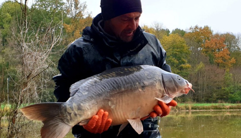 A carp from Renarde, Dec 2020