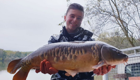 A carp from Renarde, Dec 2020