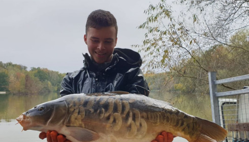 A carp from Renarde, Dec 2020