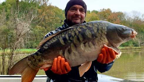 A carp from Renarde, Dec 2020