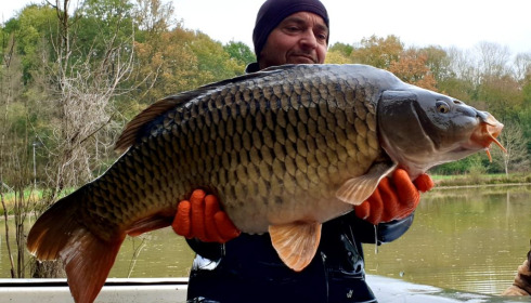 A carp from Renarde, Dec 2020