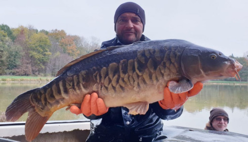 A carp from Renarde, Dec 2020