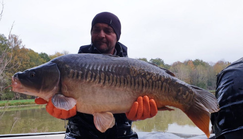 A carp from Renarde, Dec 2020