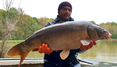 A carp from Renarde, Dec 2020