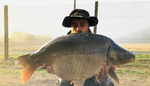 A fish from Seigneurie, ., Aug 2020