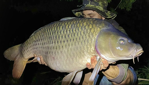 A fish from Seigneurie, ., Aug 2020