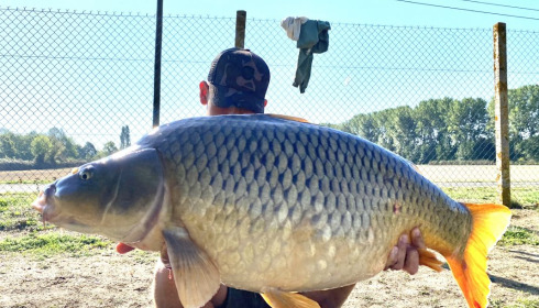 A fish from Seigneurie, ., Aug 2020