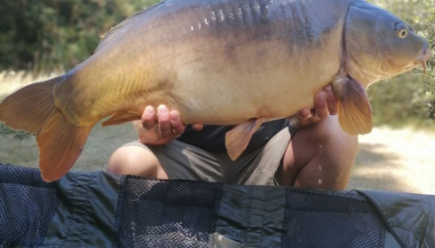 A carp from Villefond, Homer Party, Aug 2020