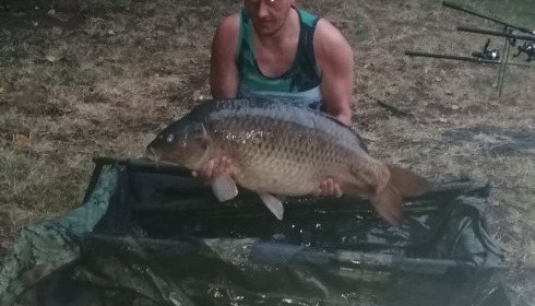 A carp from Villefond, Homer Party, Aug 2020