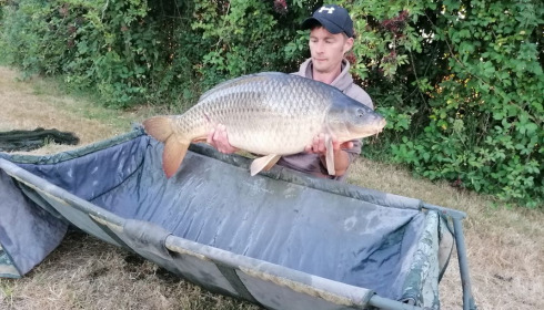 A carp from Villefond, Homer Party, Aug 2020