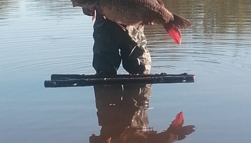 A carp from Villefond, Homer Party, Aug 2020
