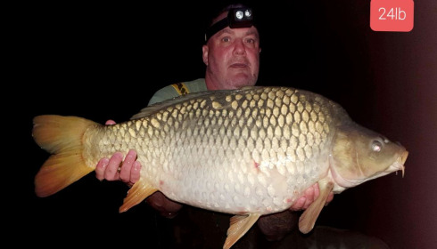 A carp from Villefond, John Richardson, Nov 2020