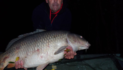 A fish from Villefond, common, Oct 2020