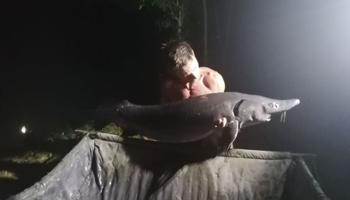 A sturgeon from Villefond, Homer Party, Aug 2020
