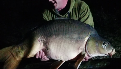 A carp from Villefond, Homer Party, Aug 2020