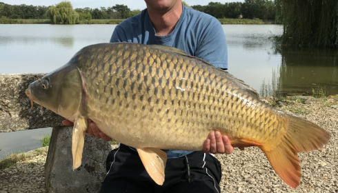 A 30 lb 2 oz fish from Vincons, A cracking 30lb (just!) common, Jul 2020