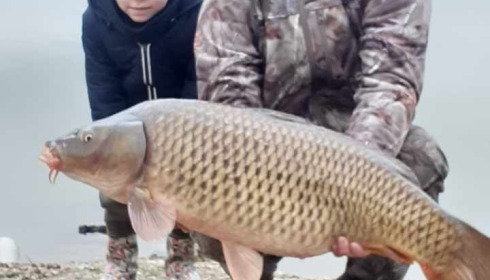 A carp from Vincons, Feb 2021
