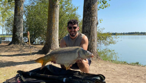 A fish from Vincons, Mirror, Aug 2020