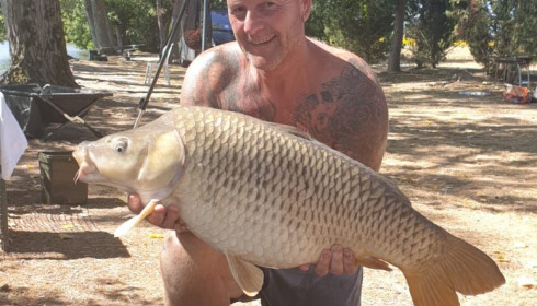 A fish from Vincons, dave reynolds, Aug 2020