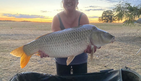 A fish from Vincons, teresa lack, Aug 2020