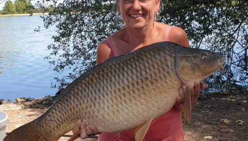 A fish from Vincons, julia reynolds, Aug 2020