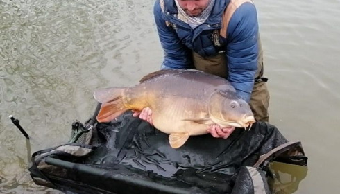 A carp from Vincons, Feb 2021
