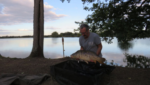A fish from Vincons, Mirror, Aug 2020