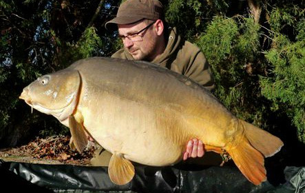A 46 lb carp from Vincons, Nov 2020
