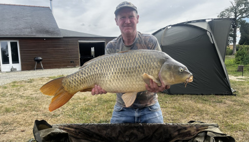 A carp from Mystique, Aug 2026