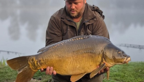 A carp from Mystique, Sep 2026