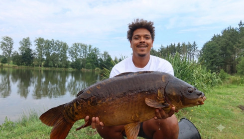 A carp from Mystique, Aug 2026