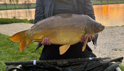 A carp from Mystique, John law, Apr 2025