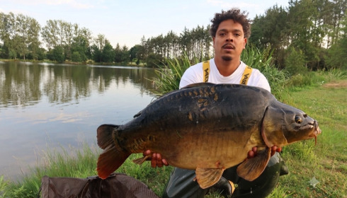 A carp from Mystique, Aug 2026