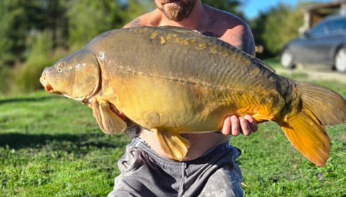 A carp from Mystique, Sep 2026