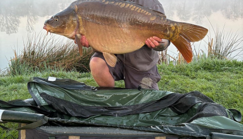 A carp from Mystique, John law, Apr 2025