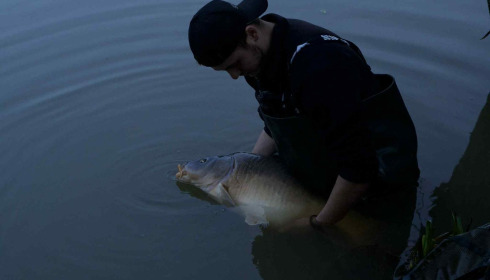 A carp from Linstant, Dec 2025