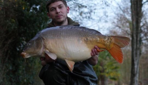 A carp from Linstant, Dec 2025