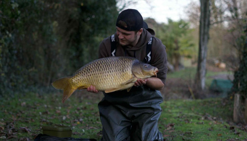 A carp from Linstant, Dec 2025