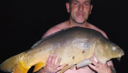 A carp from Linstant, Jul 2026