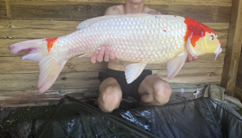 A carp from Linstant, Jul 2026