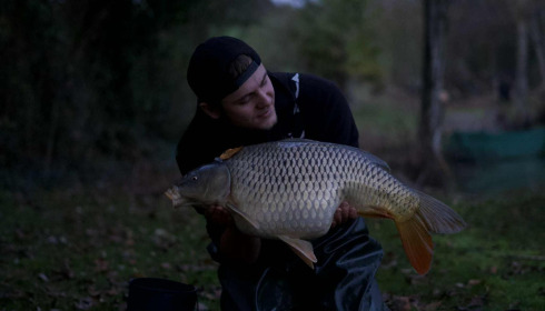 A carp from Linstant, Dec 2025